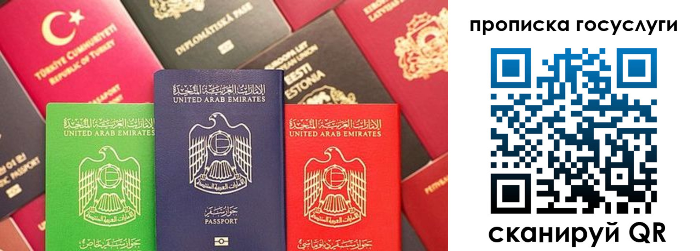 прописка паспорт в Эртили